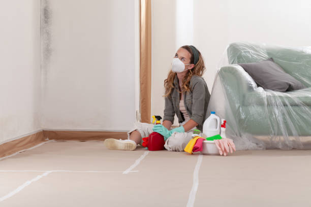Reliable Mold Remediation contractor in Paulsboro, NJ by Cheap Mold Removal
